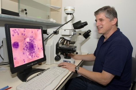 gad-baneth-research.jpg