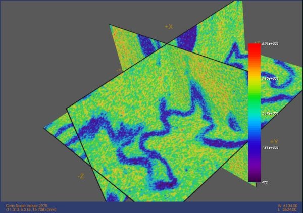 microct_turtle_suture.jpg
