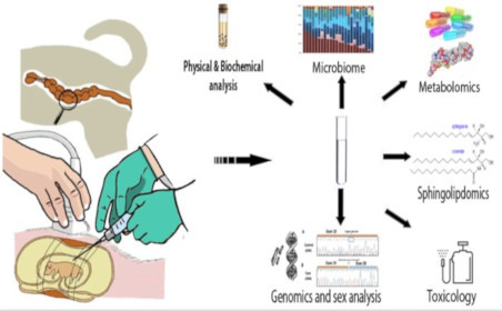 smadar-tal-research-1.jpg