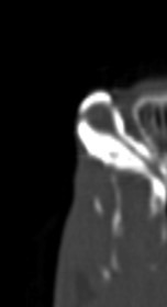 yael-shilo-benjamini-research-3.jpg
