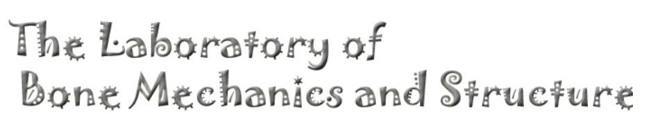 lab header