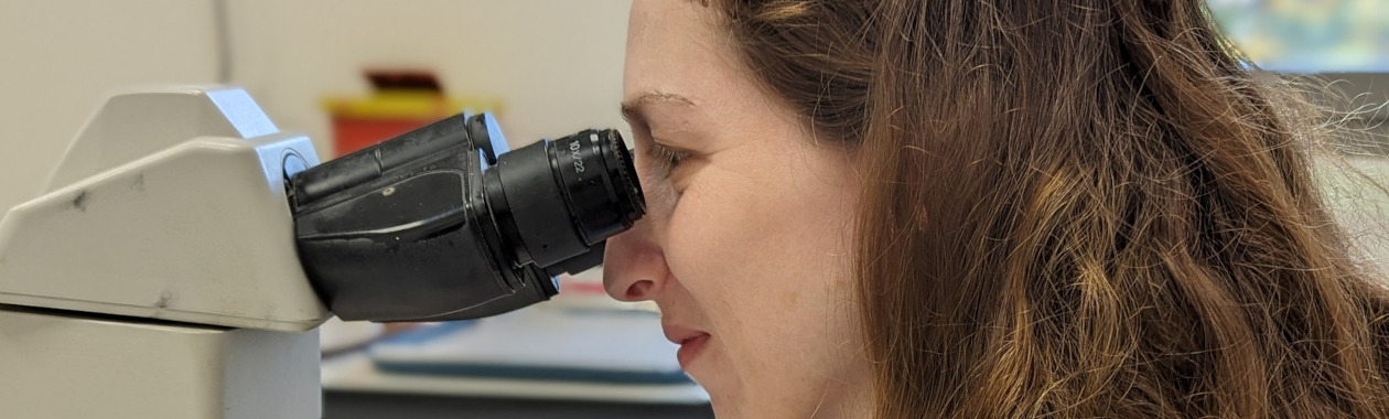 Research Excellence Program: The Direct Doctoral Track