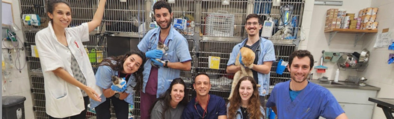 The David Hammer Shelter Medicine Program